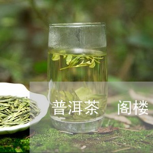 普洱茶 阁楼/2023042813505